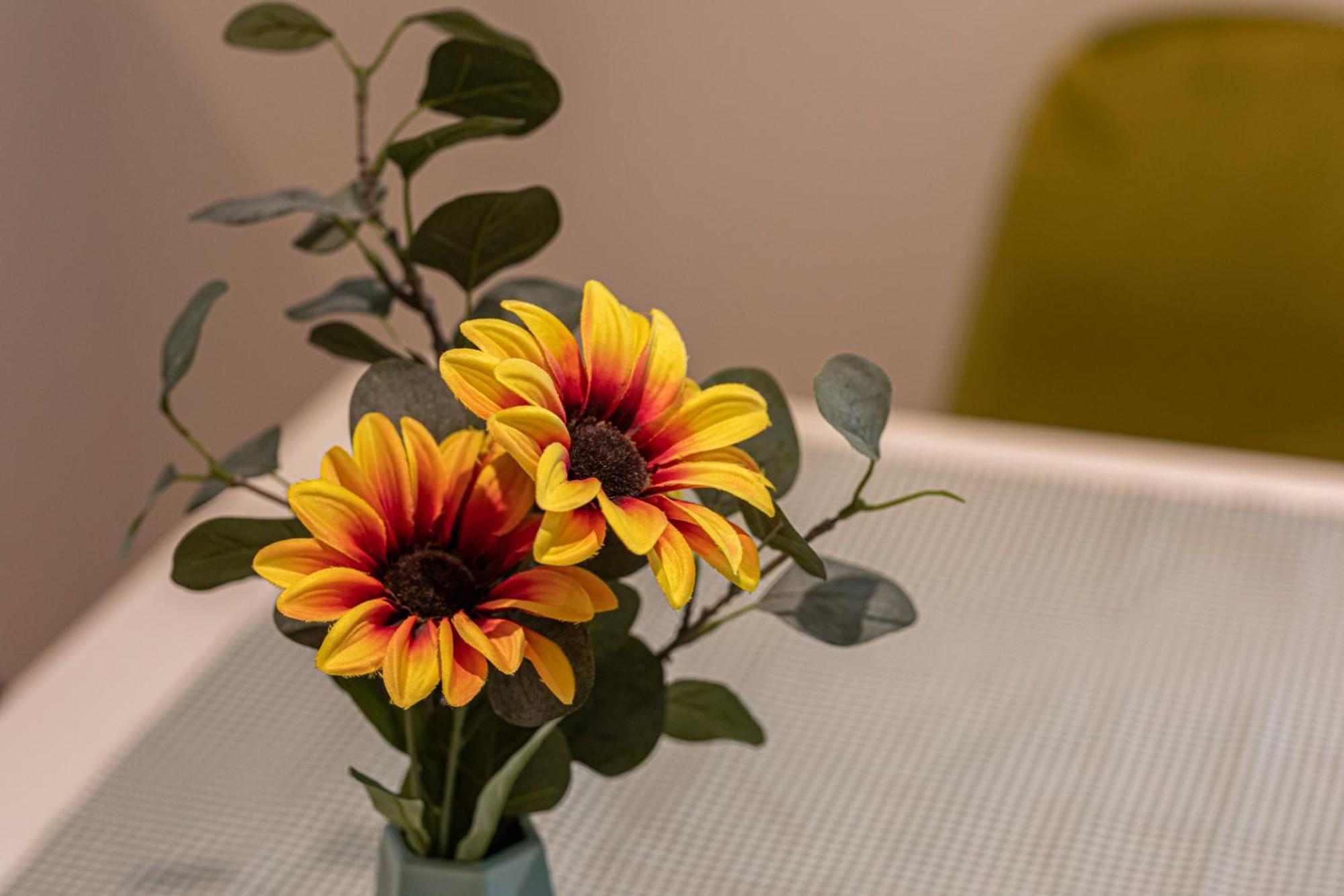 Marylebone Apartments ลอนดอน ห้อง รูปภาพ